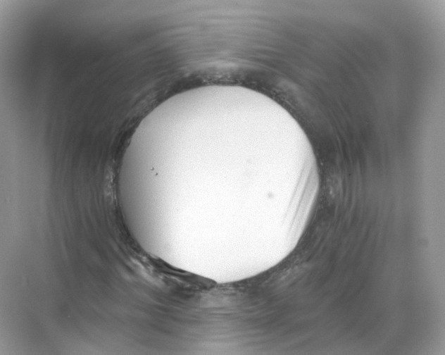 X0000069810964200606091831