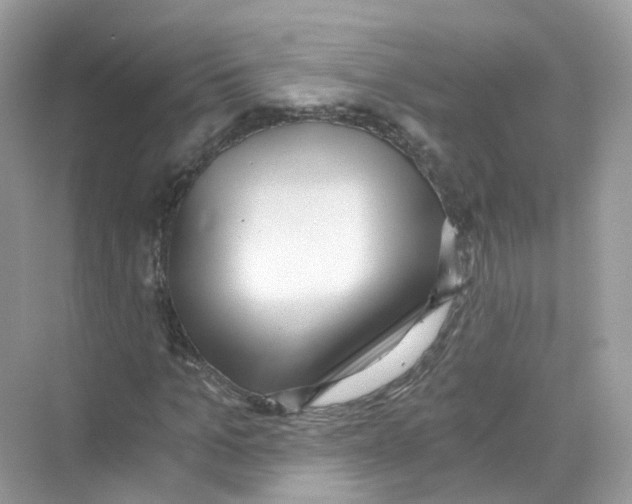 X0000069810965200606091831