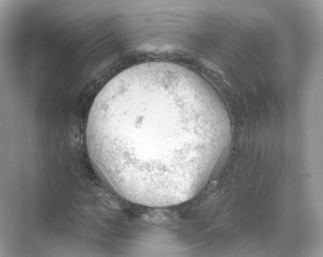 X0000069810966200606091831