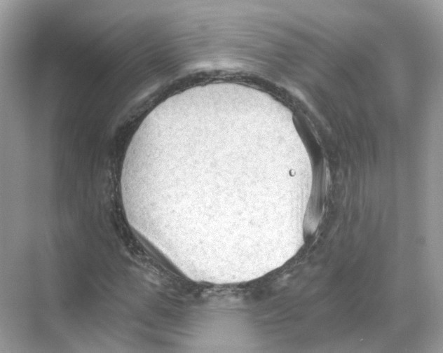 X0000069810967200606091831