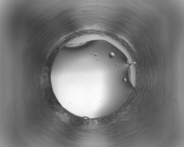 X0000069810968200606091831