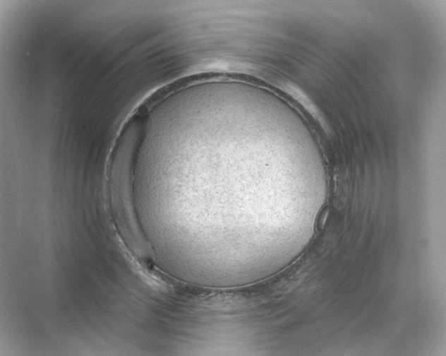 X0000069810972200606091830