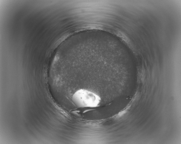 X0000069810977200606091830