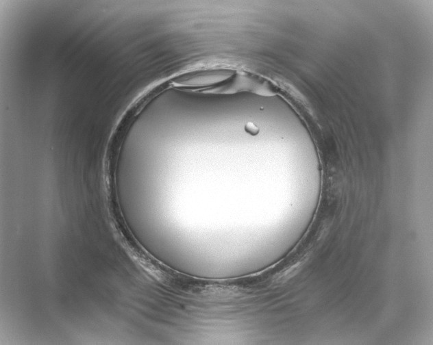 X0000069810981200606091830