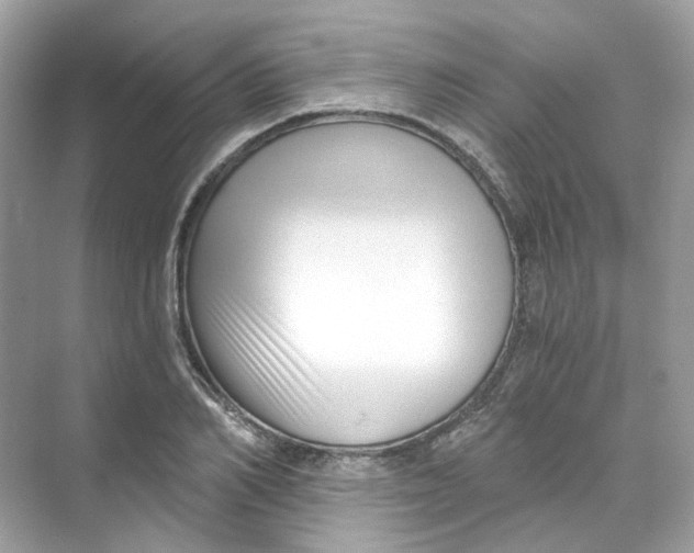 X0000069810982200606091830