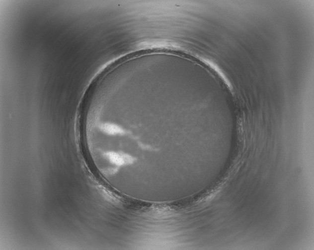 X0000069810983200606091830