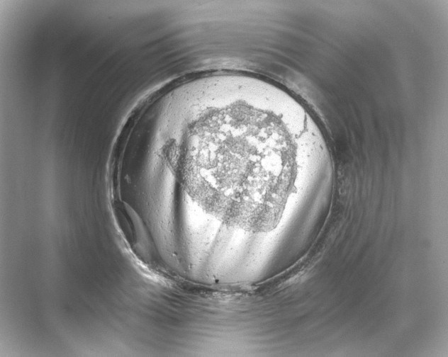 X0000069810987200606091830