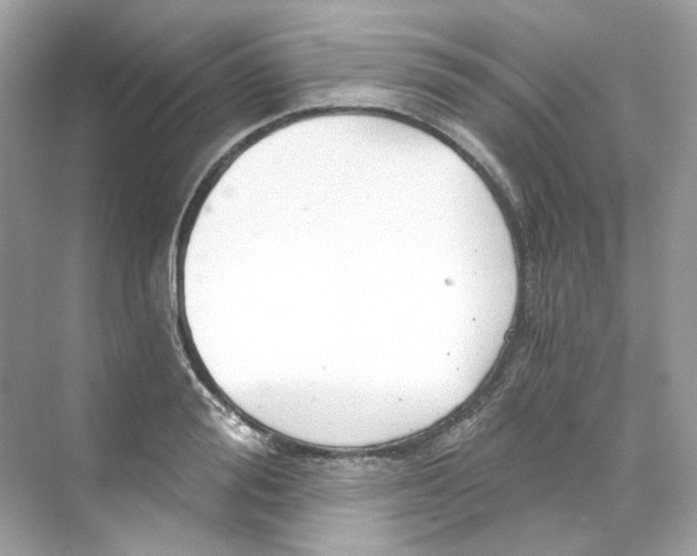 X0000069810988200606091830