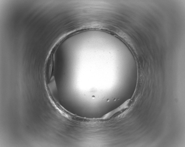 X0000069810989200606091830