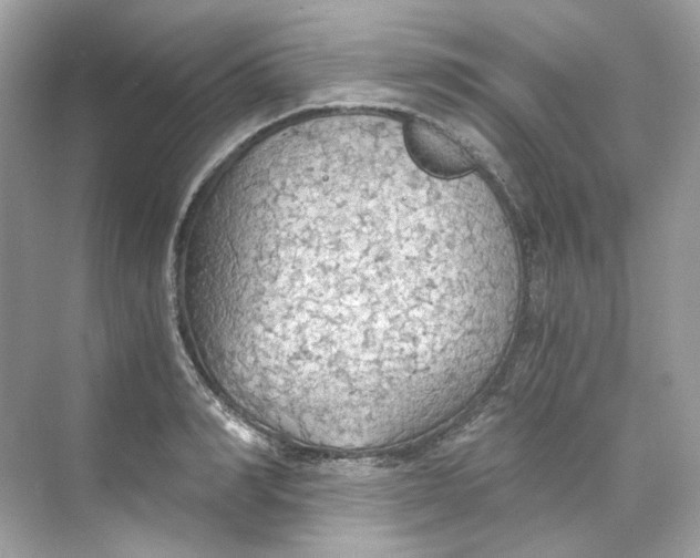 X0000069810990200606091830