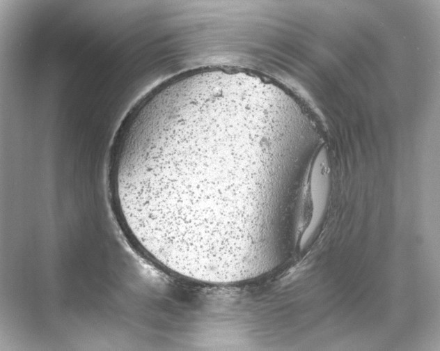 X0000069810991200606091830