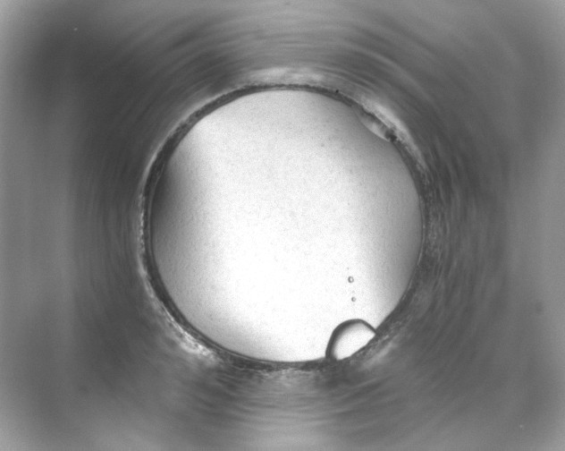 X0000069810992200606091830