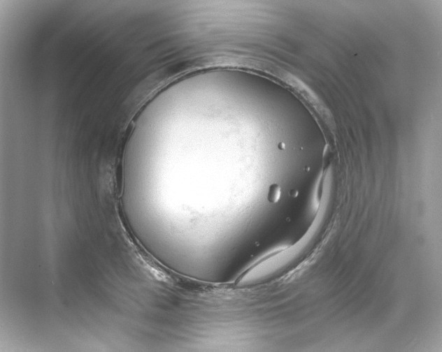 X0000069810993200606091830