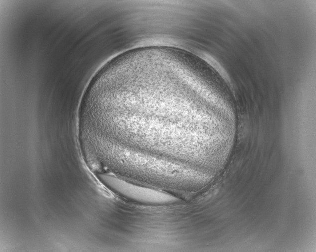 X0000069810996200606091830