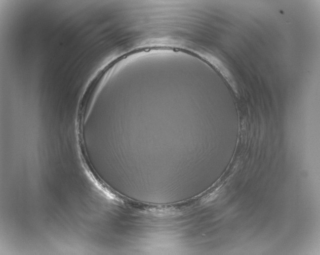 X0000069810998200606091830