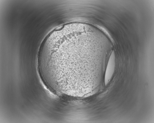 X0000069810999200606091830