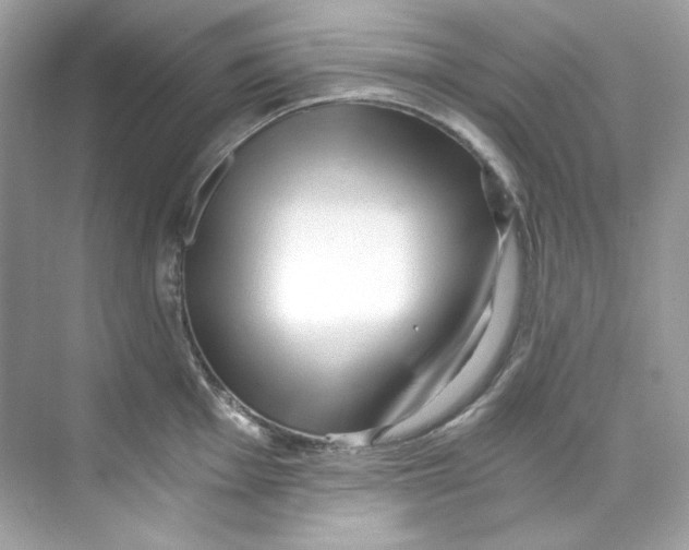 X0000069811001200606091830