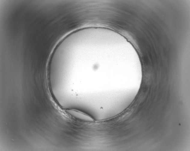 X0000069811004200606091830