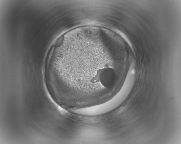 X0000069811007200606091830