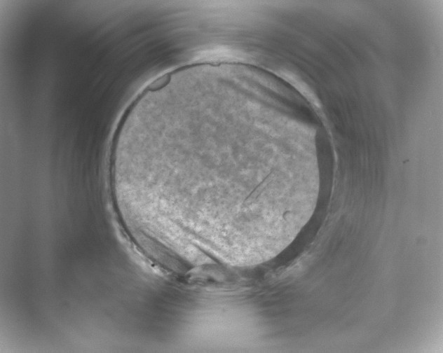 X0000069811008200606091830