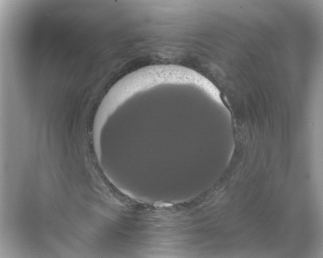 X0000069811009200606091829