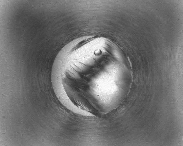 X0000069811010200606091829