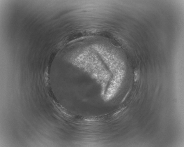 X0000069811011200606091829