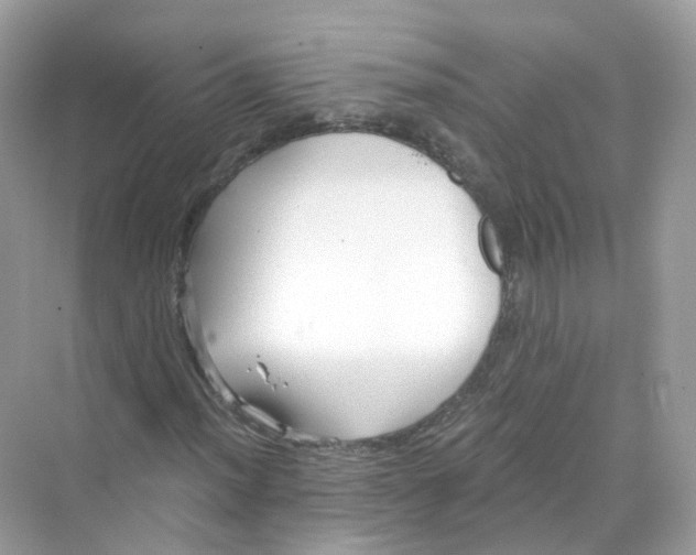 X0000069811012200606091829