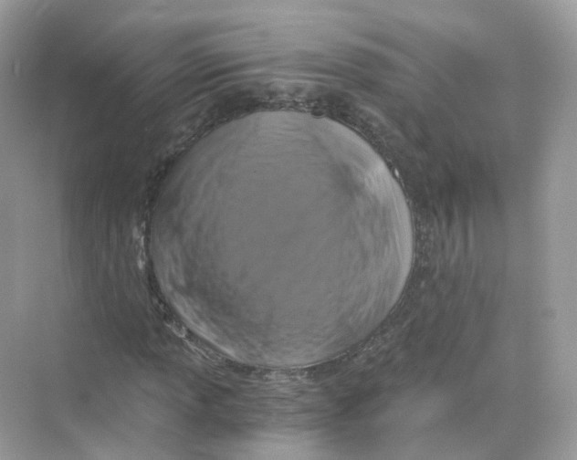 X0000069811013200606091829