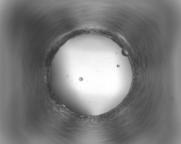 X0000069811016200606091829