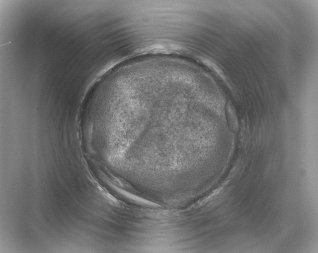 X0000069811018200606091829