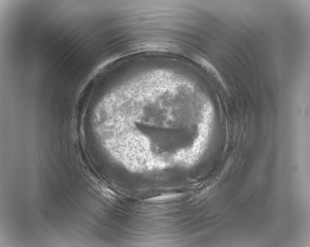 X0000069811019200606091829