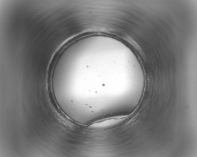 X0000069811020200606091829