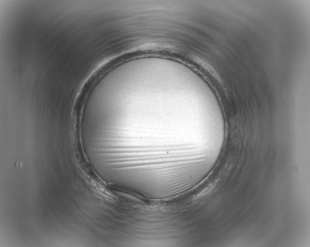 X0000069811021200606091829