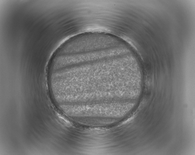 X0000069811022200606091829