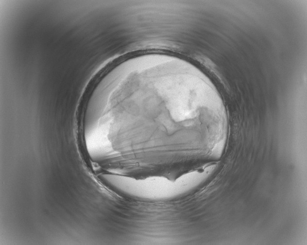 X0000069811024200606091829