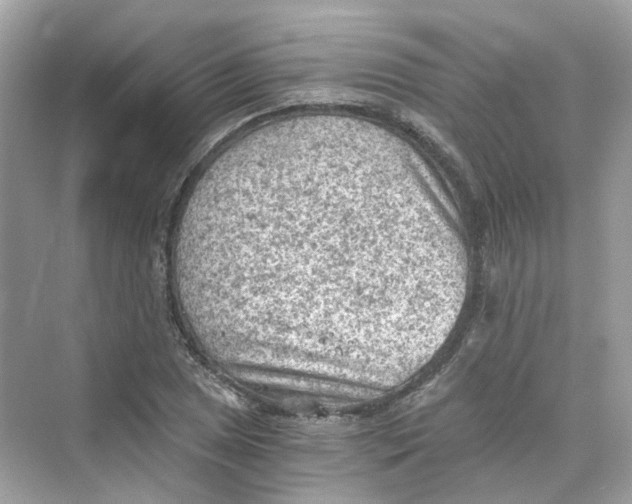 X0000069811025200606091829