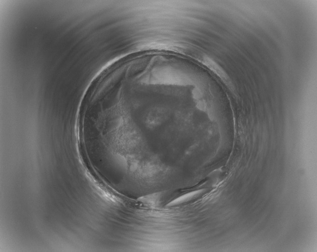 X0000069811028200606091829