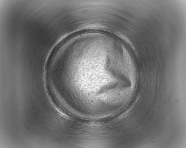 X0000069811029200606091829