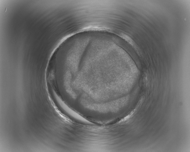 X0000069811030200606091829