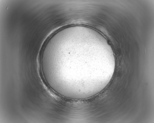 X0000069811032200606091829