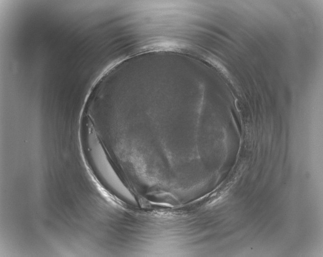 X0000069811034200606091829