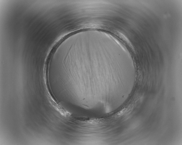 X0000069811035200606091829