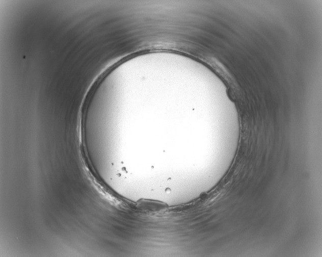 X0000069811036200606091829