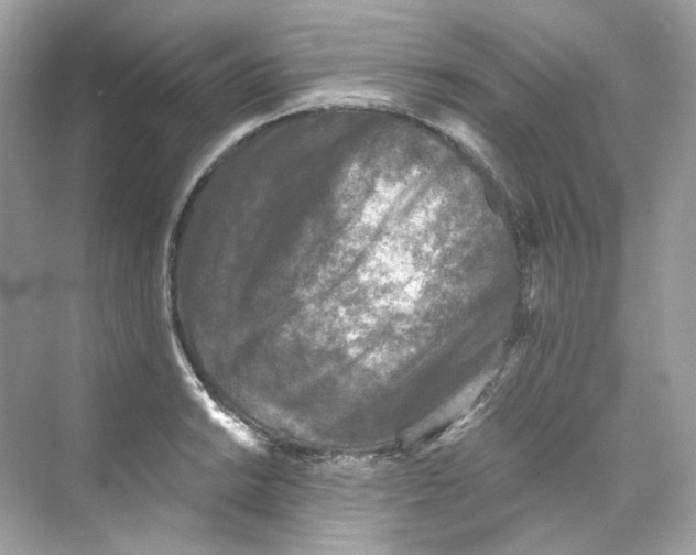 X0000069811038200606091830