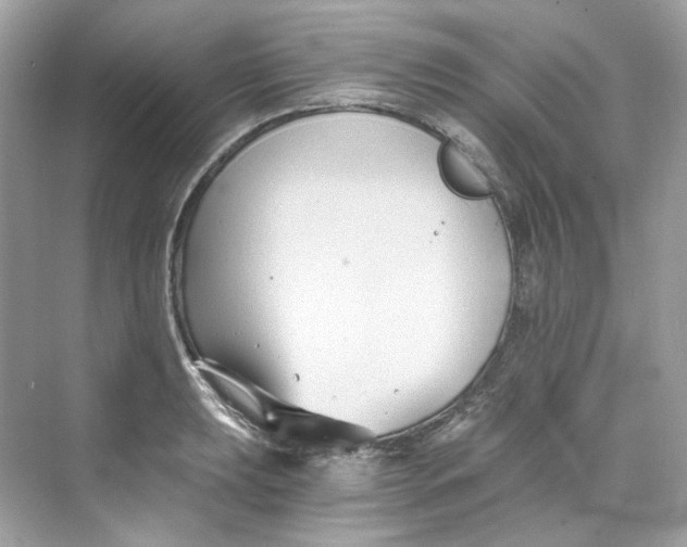 X0000069811039200606091830