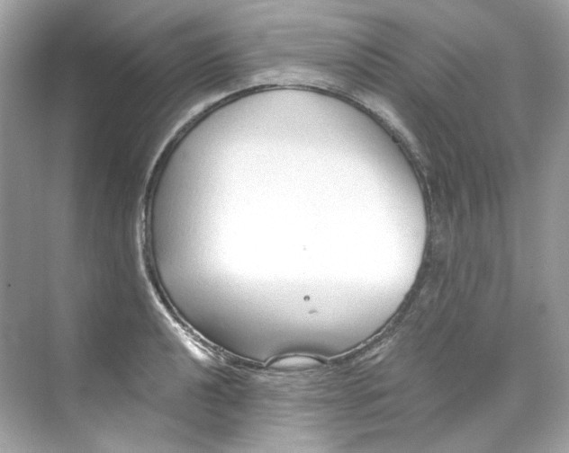 X0000069811040200606091830