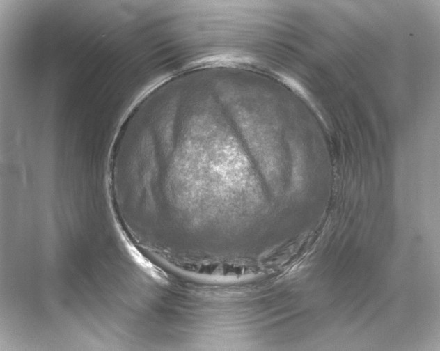 X0000069811042200606091830