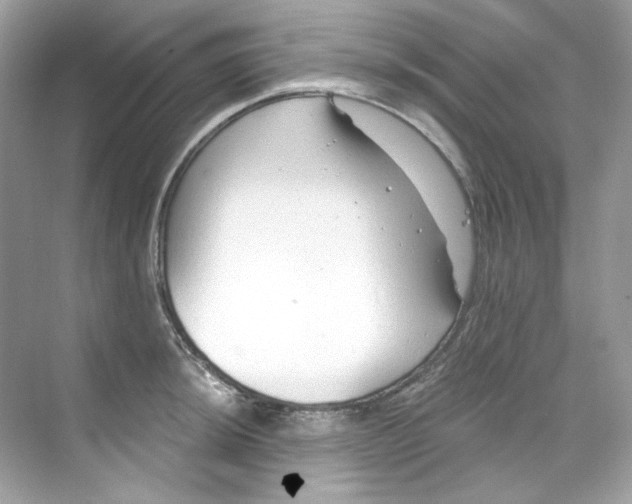 X0000069811044200606091830