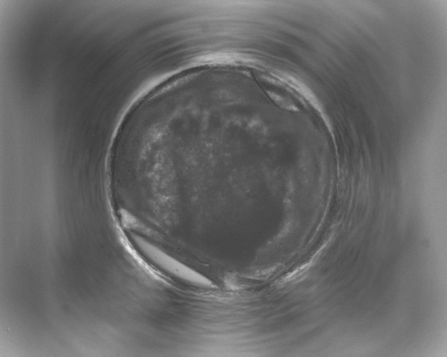 X0000069811045200606091830